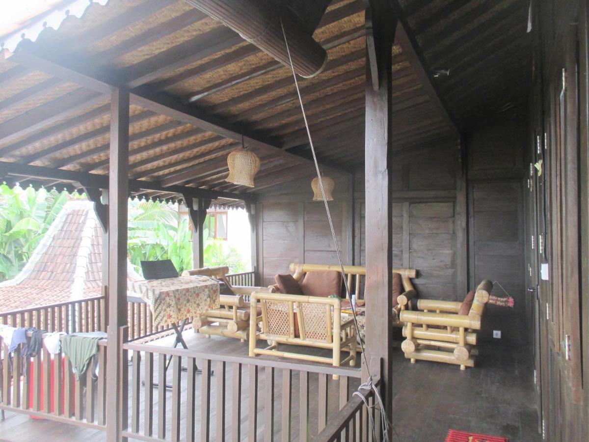 Auberge de jeunesse Paddy &