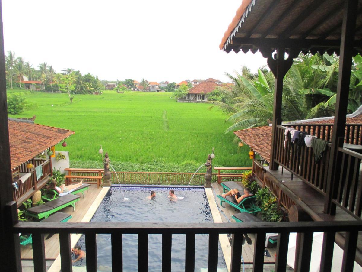 Auberge de jeunesse Paddy & Ubud