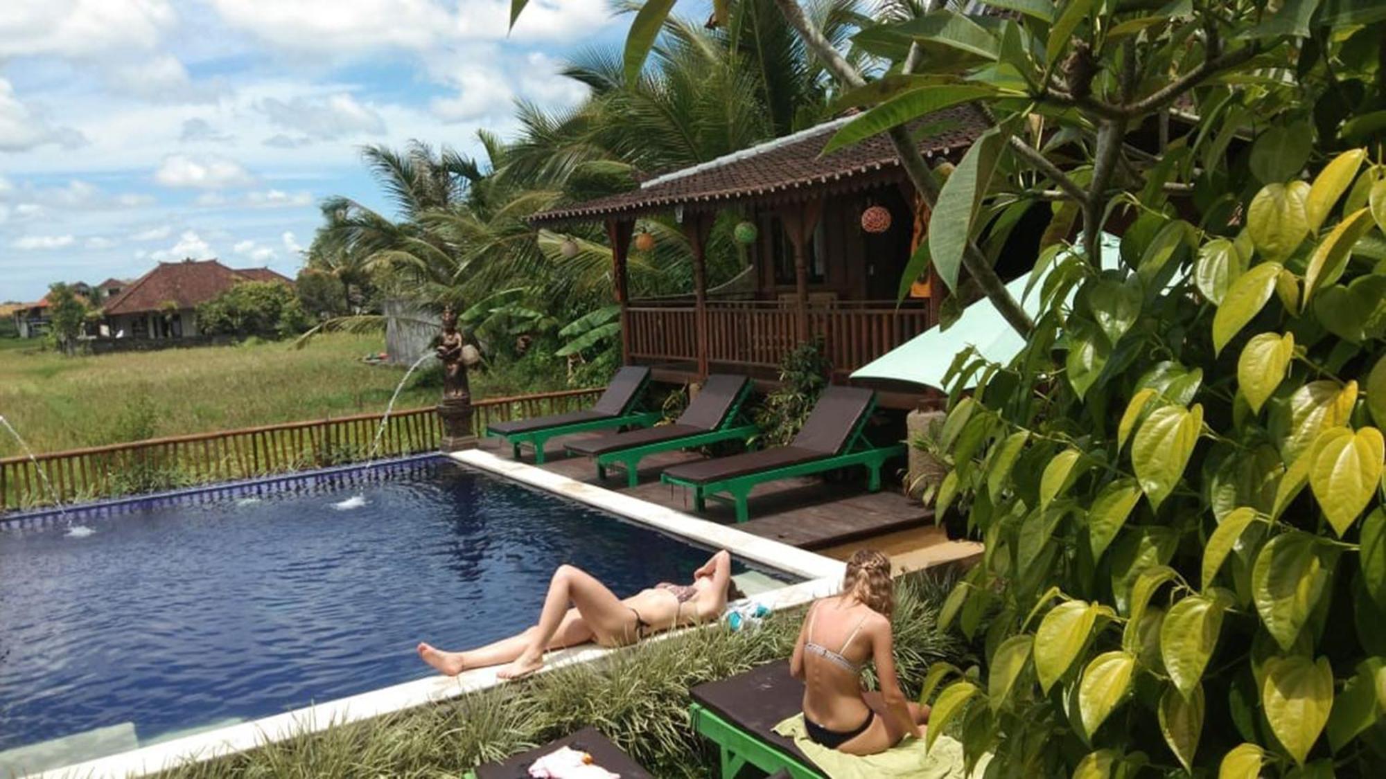 Paddy & Ubud