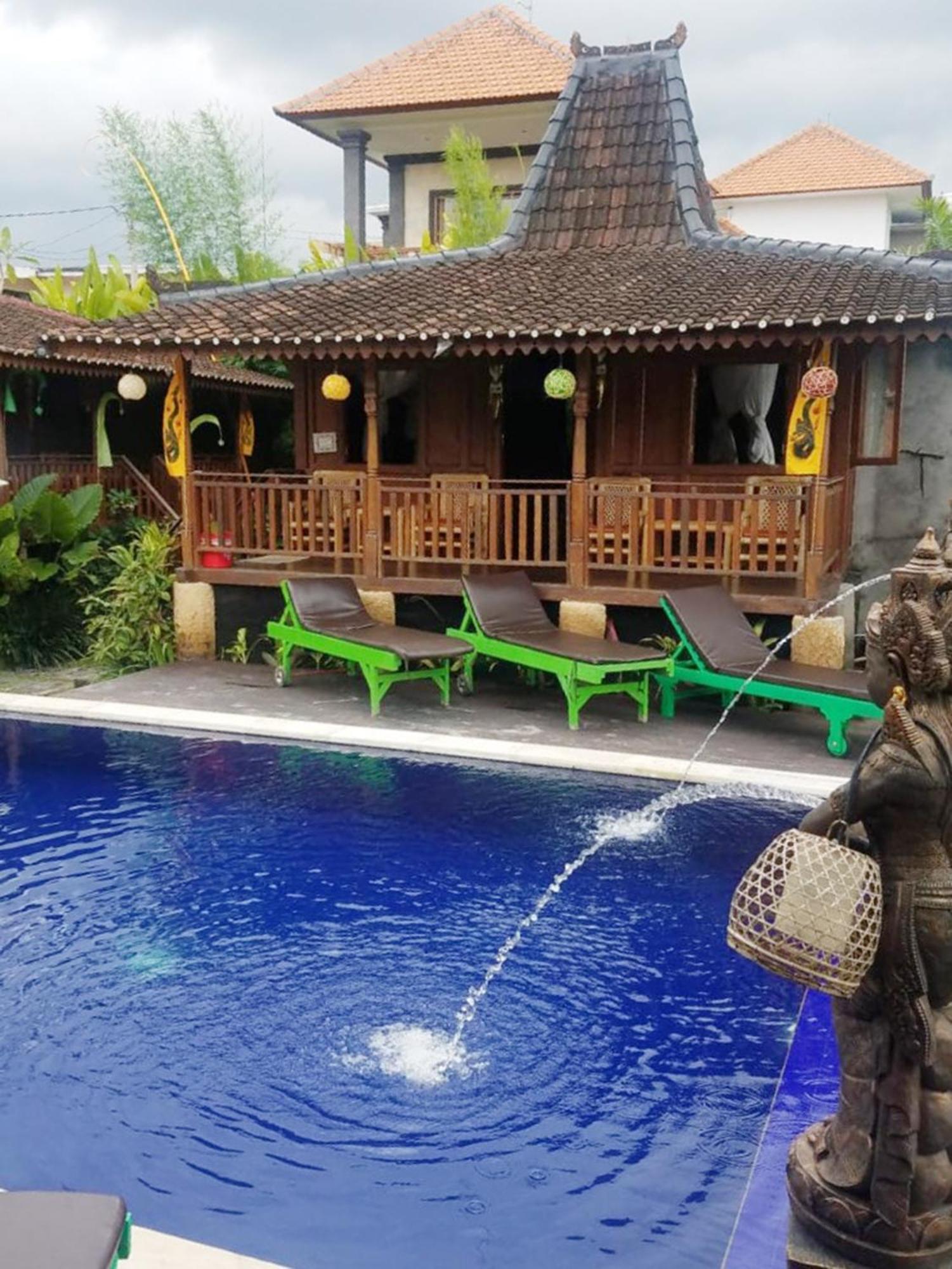 Paddy & Ubud