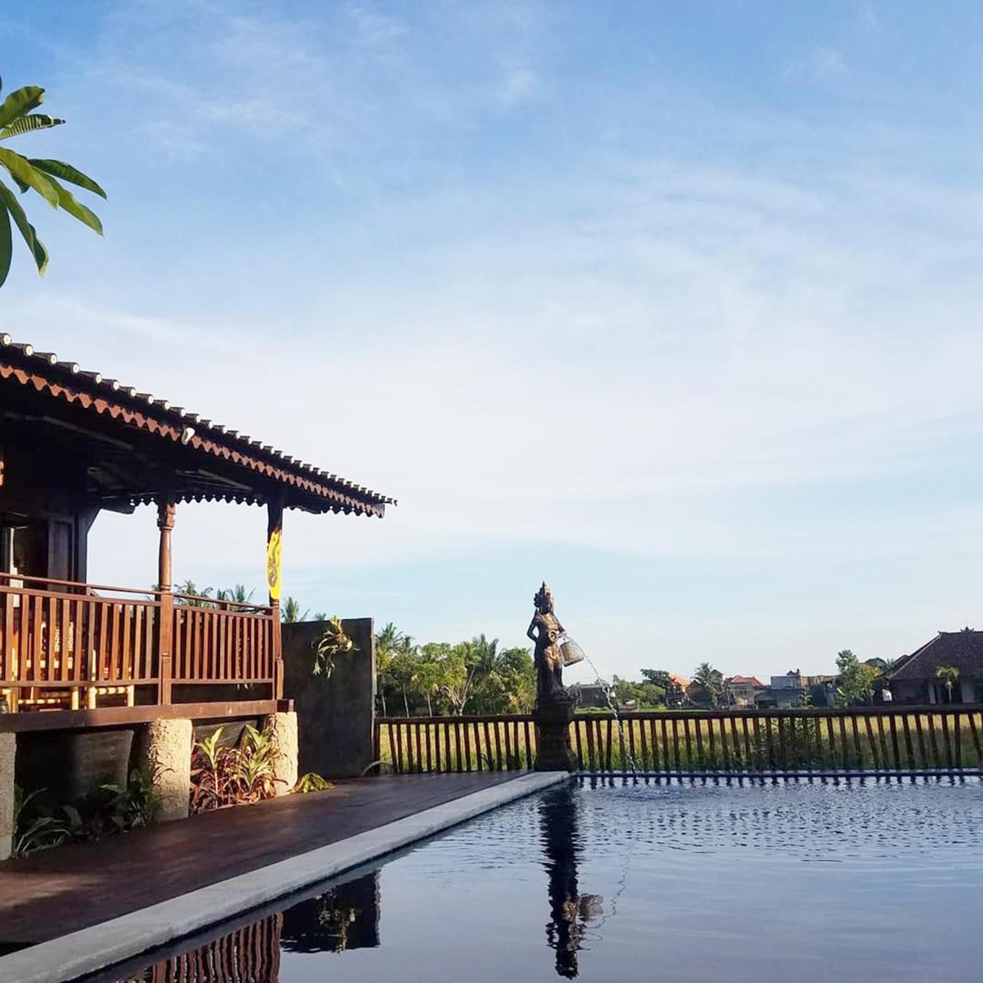 Paddy & Ubud