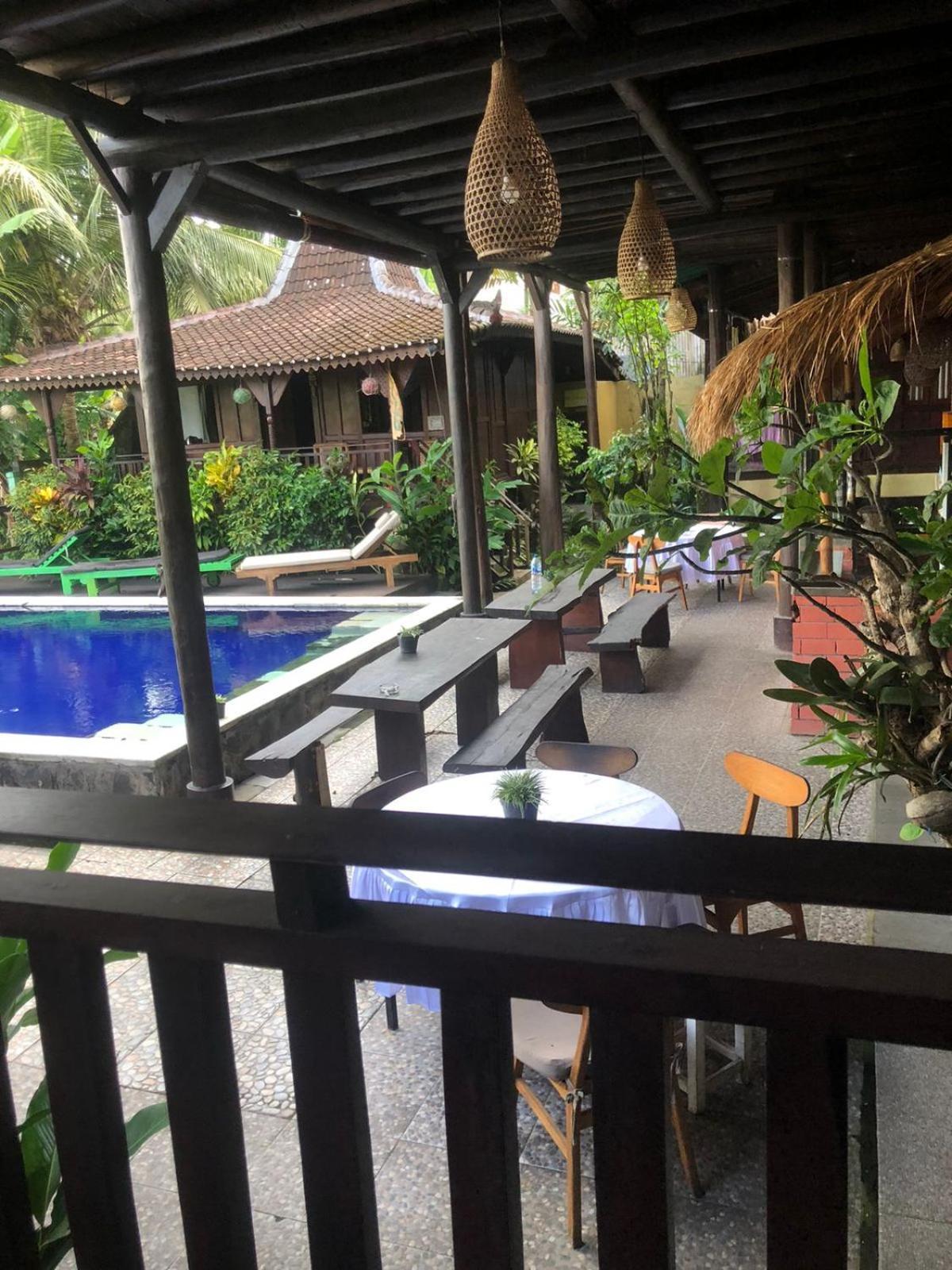 Paddy & Auberge de jeunesse *