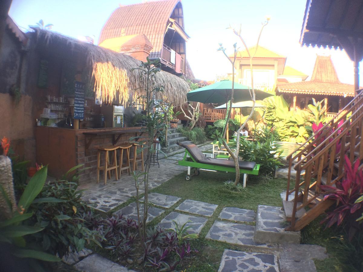 Paddy & Auberge de jeunesse