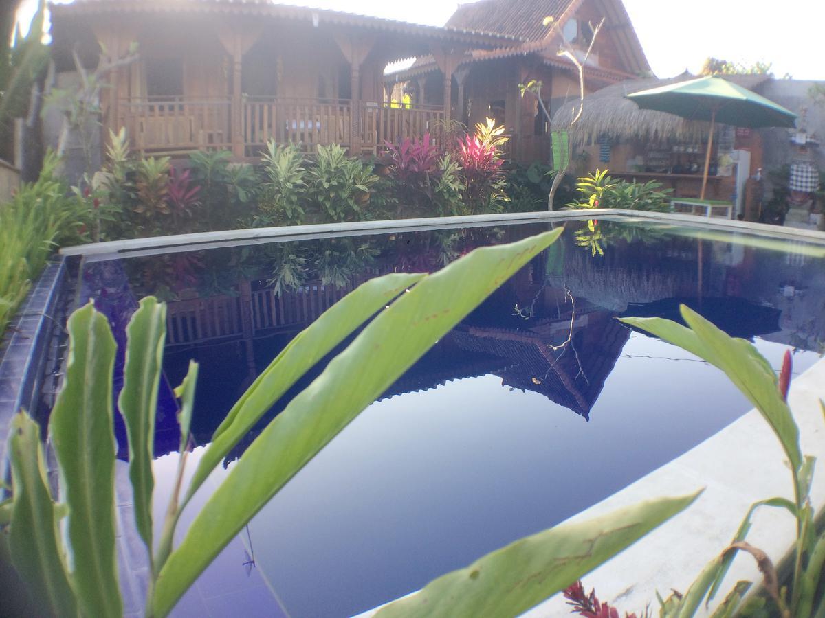 Paddy & * Ubud