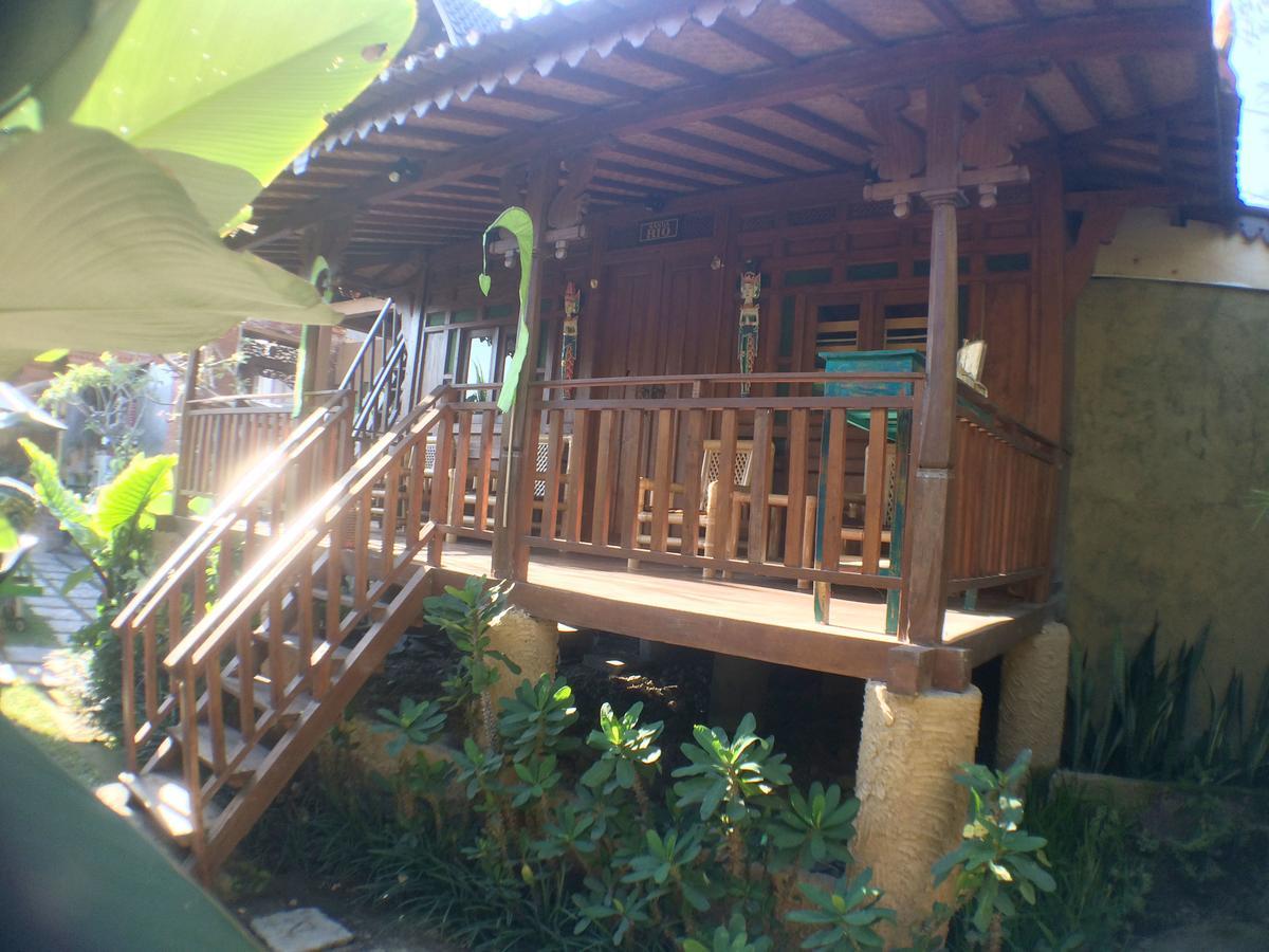 Auberge de jeunesse Paddy &