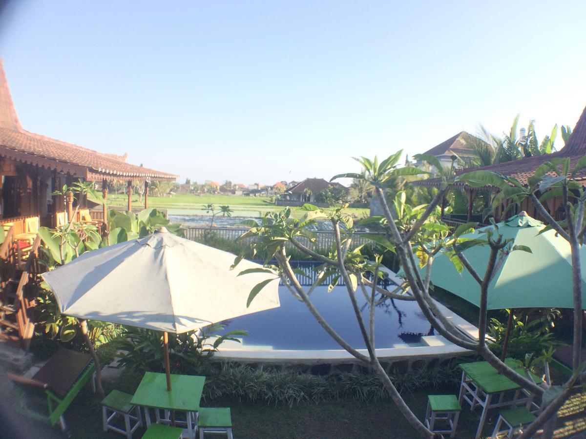 Paddy & Auberge de jeunesse Ubud