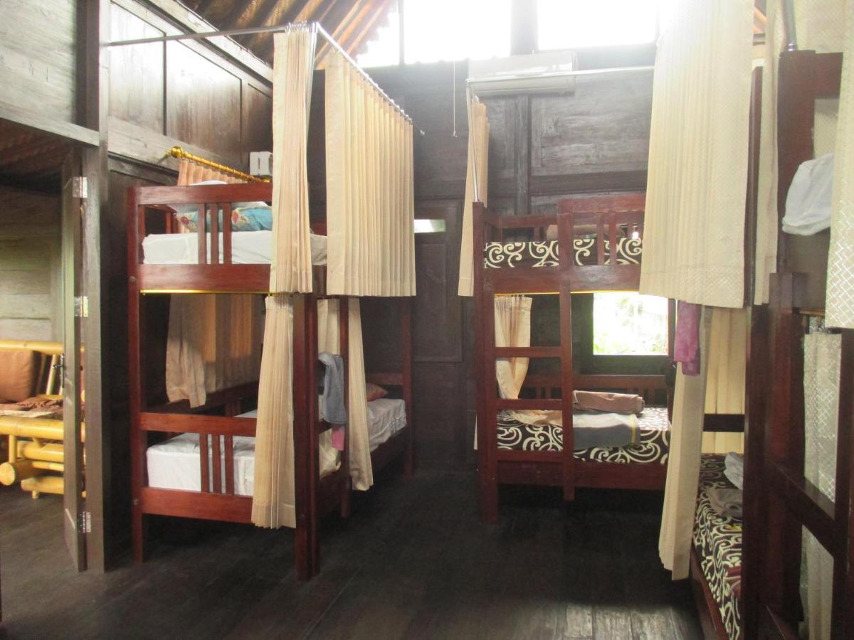 Paddy & Albergue *