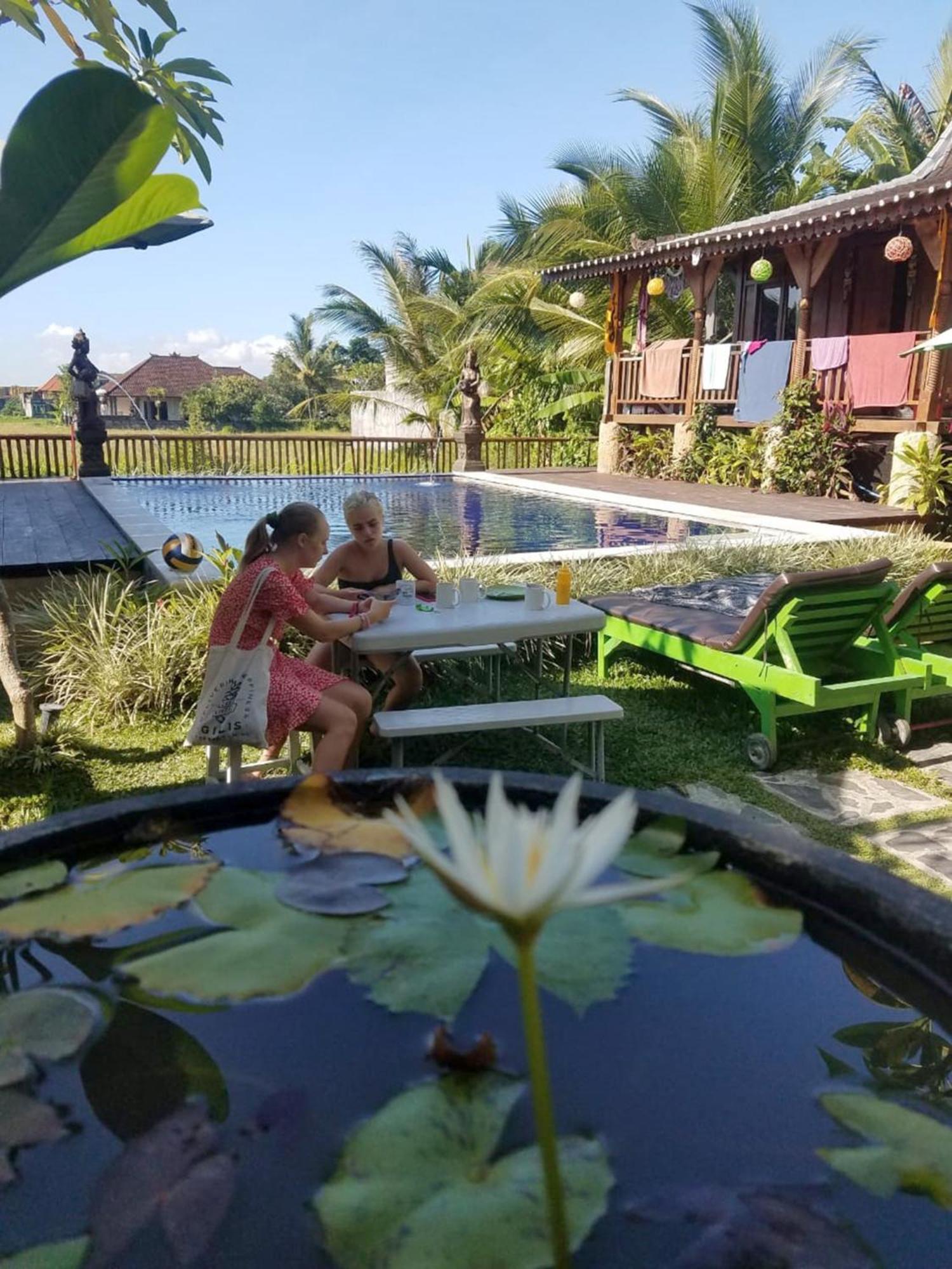 Albergue Paddy &
