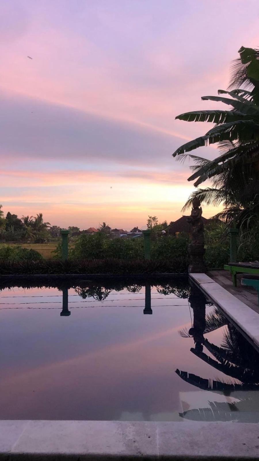 Paddy & Ubud