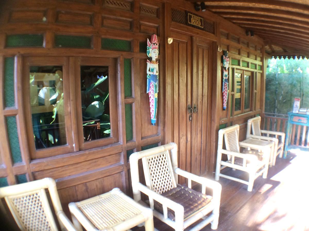 Paddy & Ubud