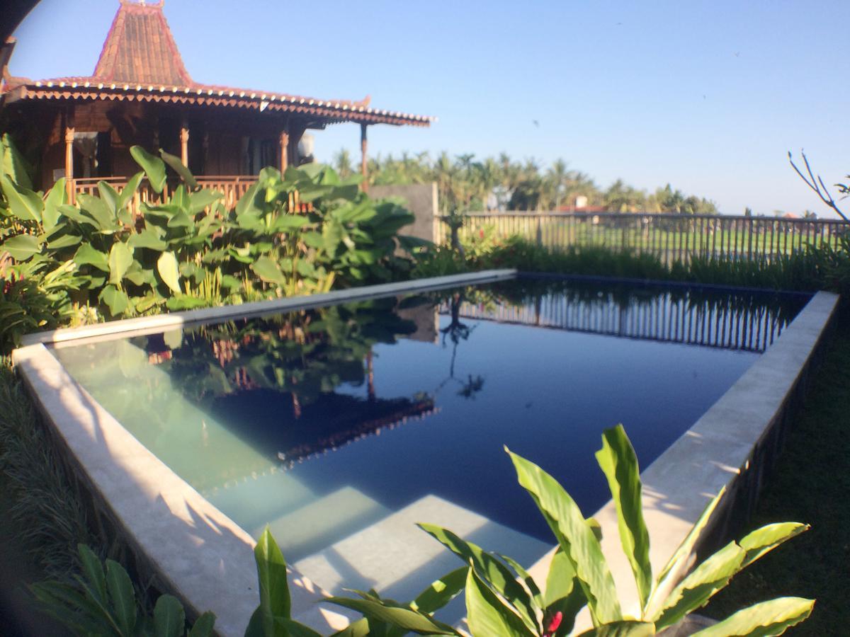 Paddy & Ubud