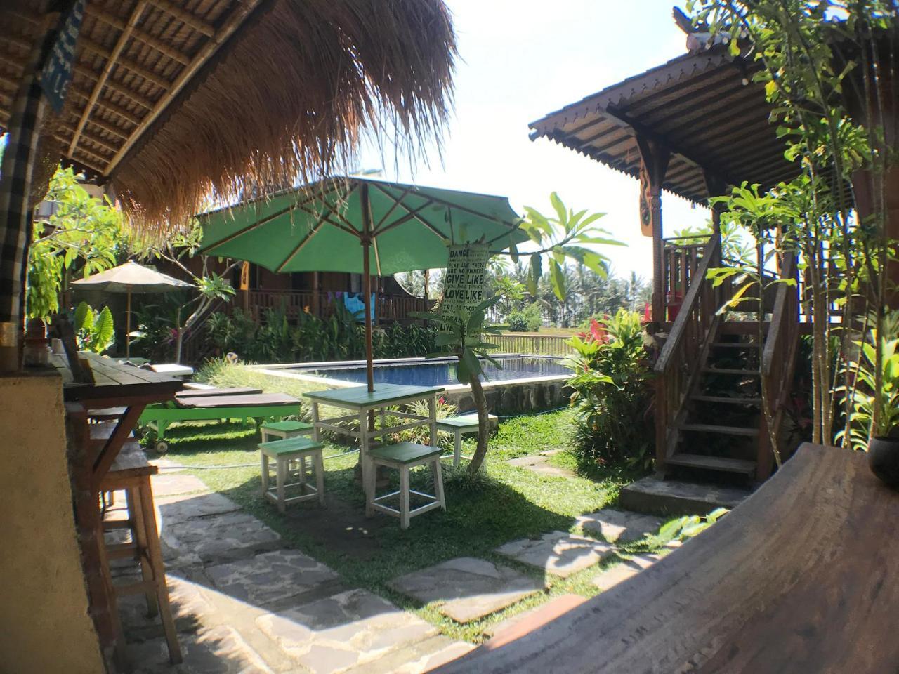 Albergue Paddy &