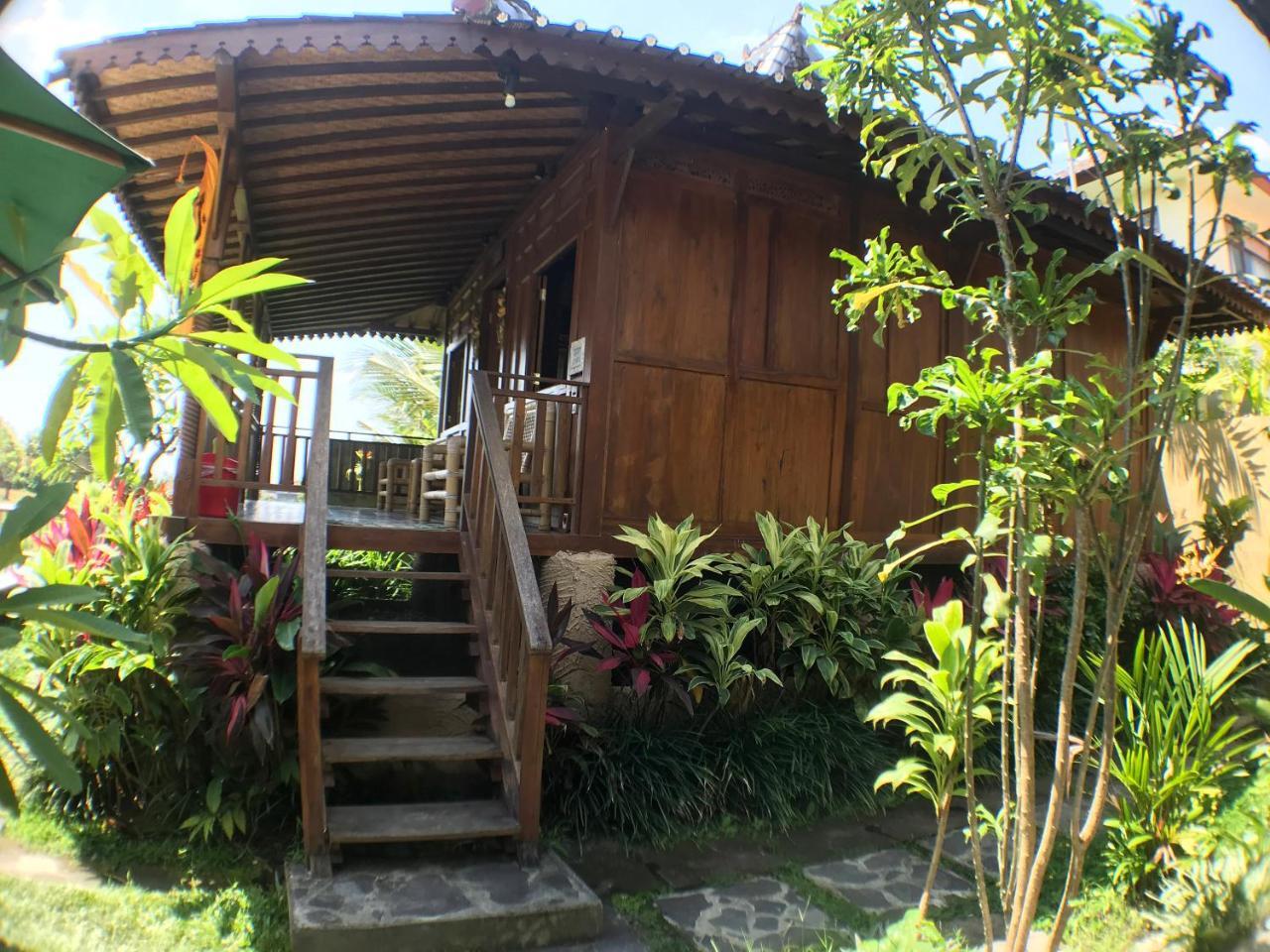 Paddy & * Ubud